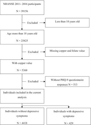 Independent and combined effect of serum copper and folate on depression: cross-sectional data from the NHANES 2011–2016